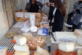 WhatsApp-Image-2022-10-02-at-19.56.27