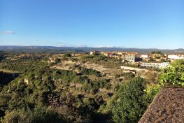 WhatsApp-Image-2022-10-02-at-19.57.03