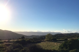 WhatsApp-Image-2022-10-02-at-20.04.21