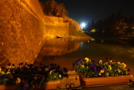DSC03500
