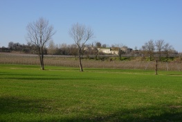 DSC03650