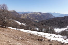 DSC03695