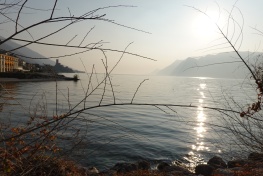 DSC03759