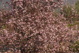 DSC03761