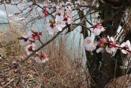 DSC04040
