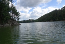 DSC04920