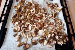 IMG-20220711-WA0000
