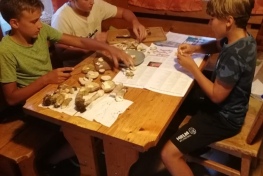 IMG-20220715-WA0002
