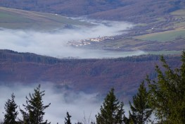 DSC03507