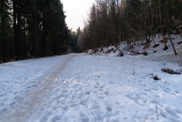 IMG-20231230-WA0024