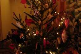 IMG-20211221-WA0009