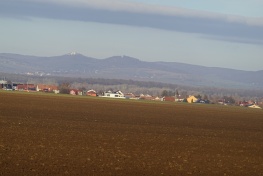DSC01519