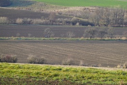DSC01521