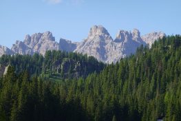 DSC00795