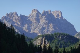 DSC00837