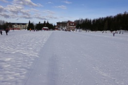 DSC03446
