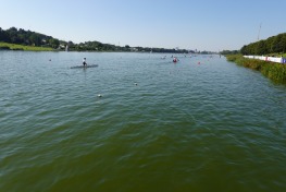 DSC01260