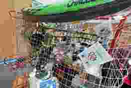 20250208_160955