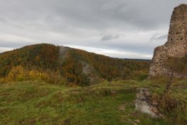 DSC01955